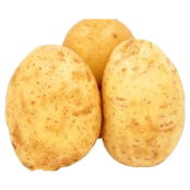 산타 감자 2kg